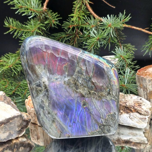 Large purple labradorite - large,